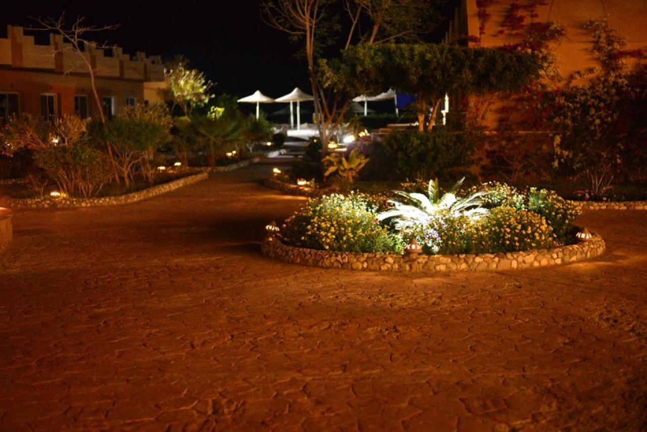 Silver Beach Boutique Hotel (Adults Only) El Qoseir 外观 照片
