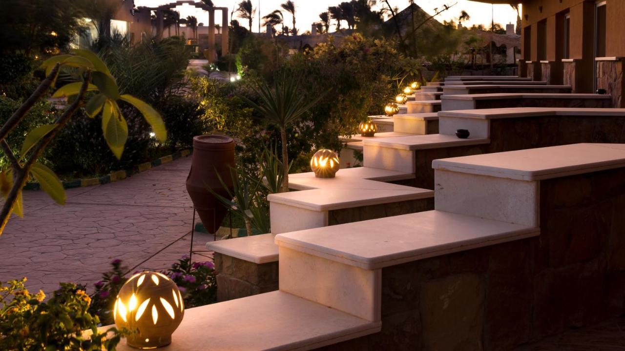 Silver Beach Boutique Hotel (Adults Only) El Qoseir 外观 照片