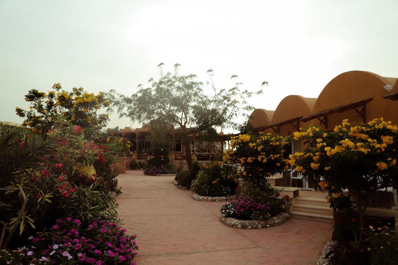Silver Beach Boutique Hotel (Adults Only) El Qoseir 外观 照片
