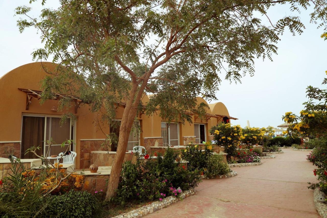Silver Beach Boutique Hotel (Adults Only) El Qoseir 外观 照片