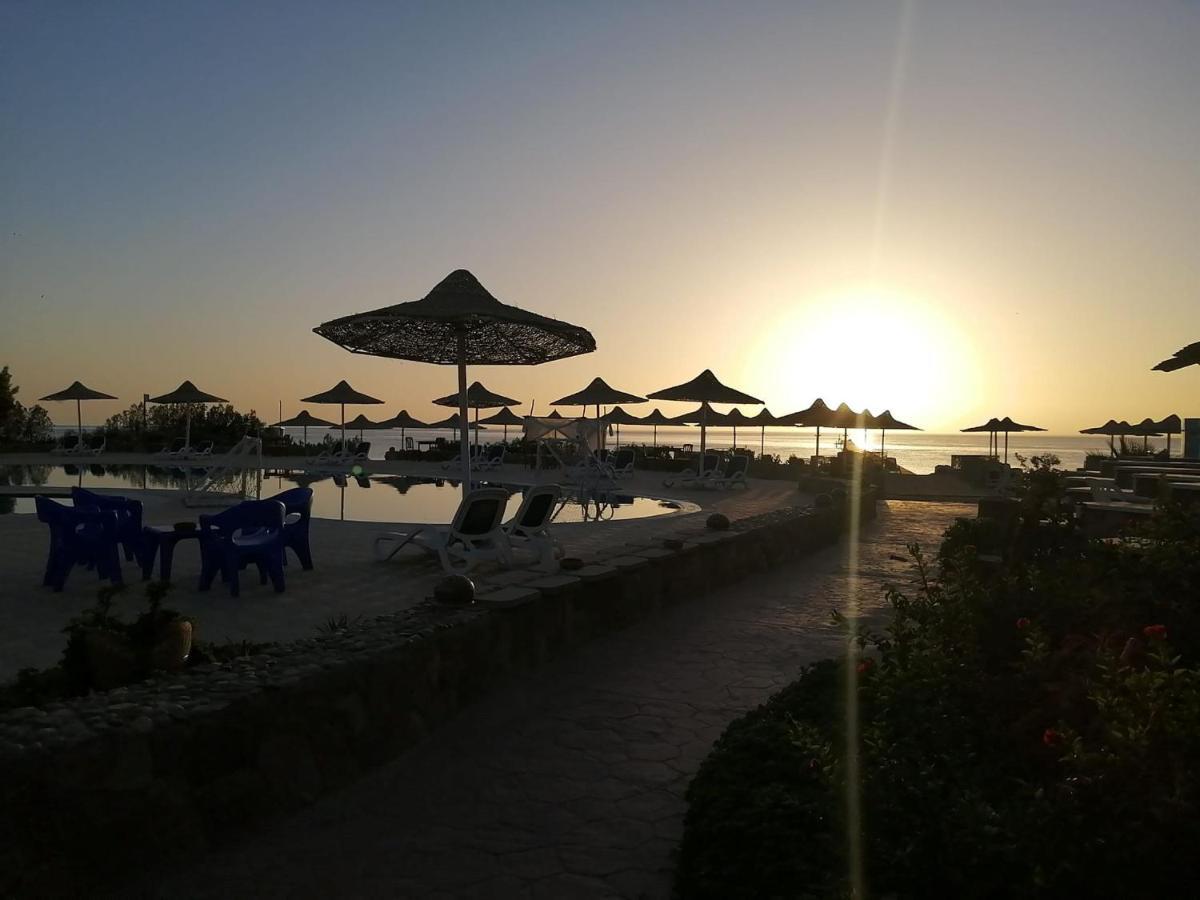 Silver Beach Boutique Hotel (Adults Only) El Qoseir 外观 照片