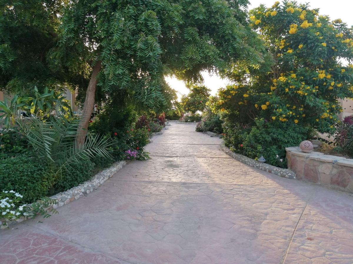 Silver Beach Boutique Hotel (Adults Only) El Qoseir 外观 照片