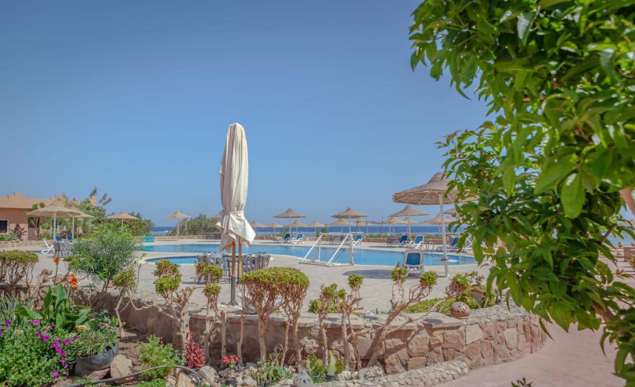 Silver Beach Boutique Hotel (Adults Only) El Qoseir 外观 照片