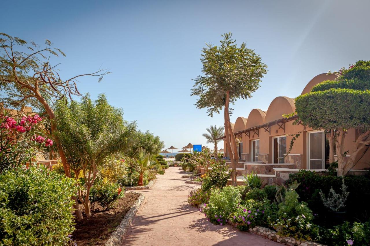 Silver Beach Boutique Hotel (Adults Only) El Qoseir 外观 照片