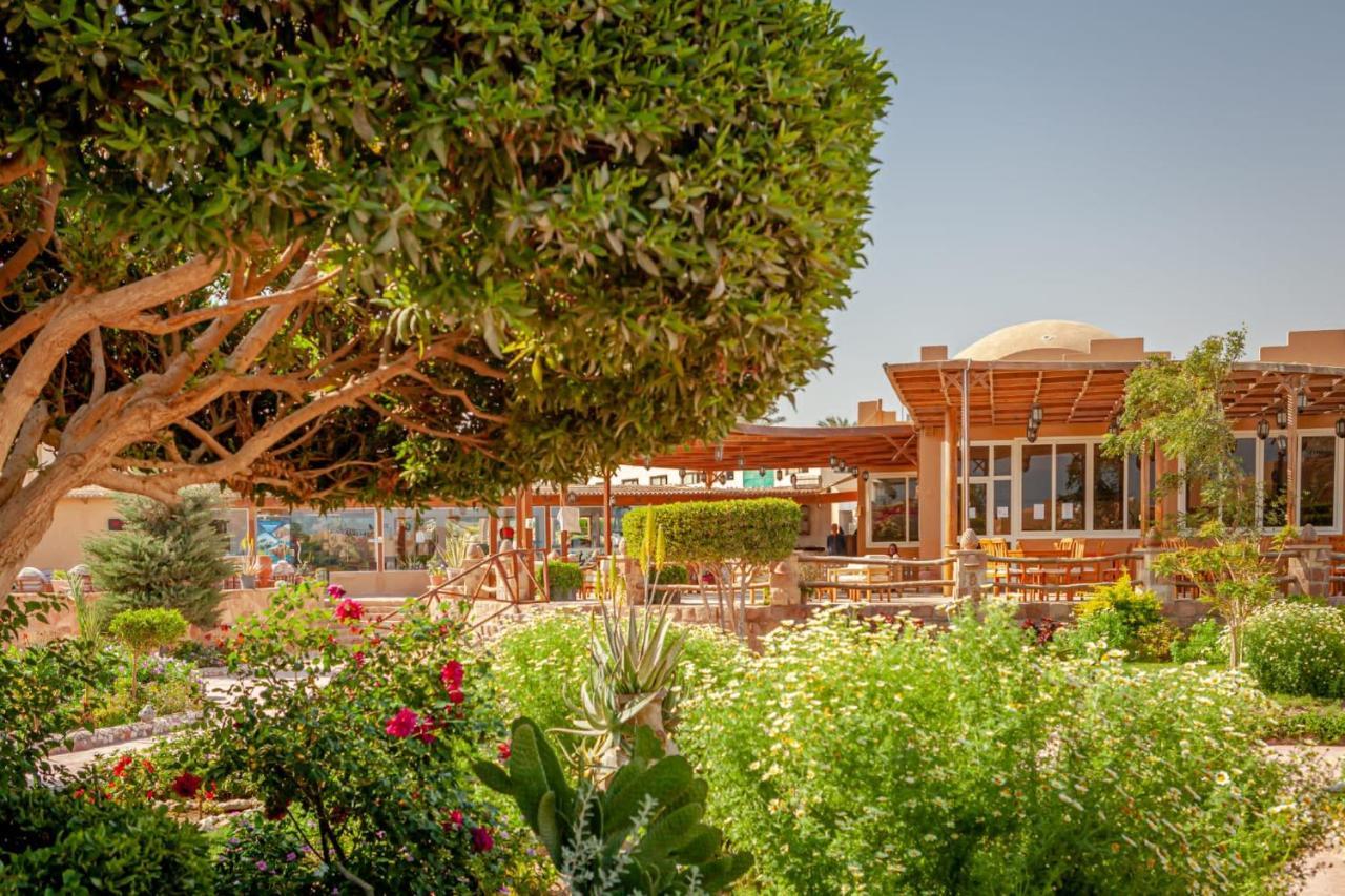 Silver Beach Boutique Hotel (Adults Only) El Qoseir 外观 照片